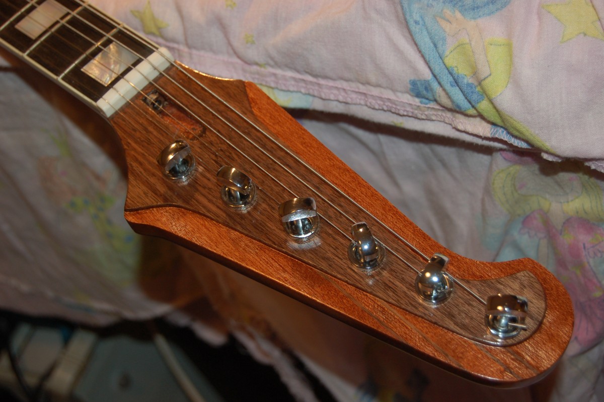 headstock after stringing up